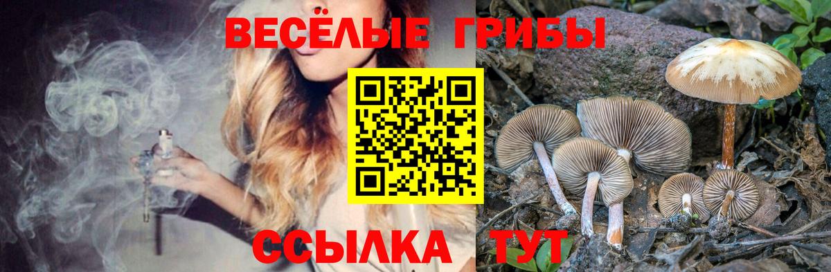 Белебей  Галлюциногенные грибы MAGIC MUSHROOMS  Вход с VPN 
