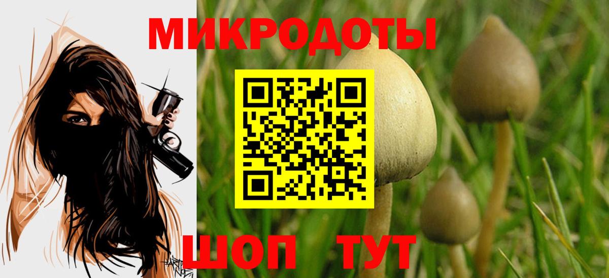 Галлюциногенные грибы Cubensis Белебей